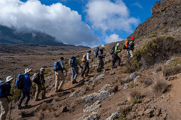 5 Days Mt  Kilimanjaro Trekking Rongai Route