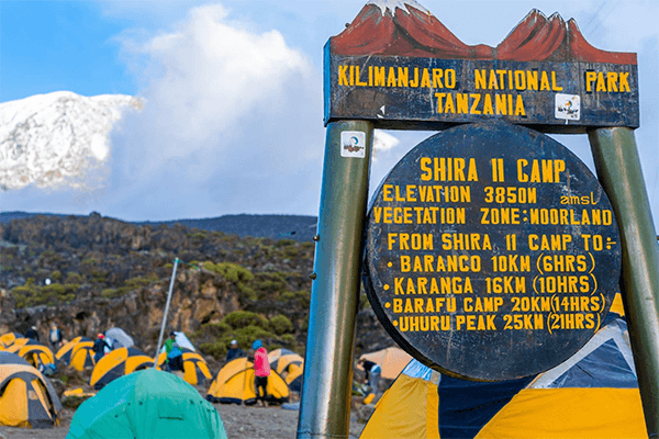 6 Days Mt Kilimanjaro Trekking Shira Route
