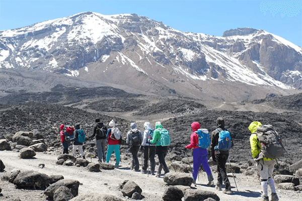 6 Days Mt Kilimanjaro Trekking Shira Route