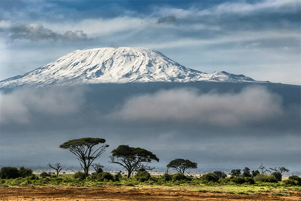 6 Days Mt Kilimanjaro Trekking Shira Route