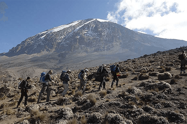 7 Days Mt Kilimanjaro Trekking Lemosho Route