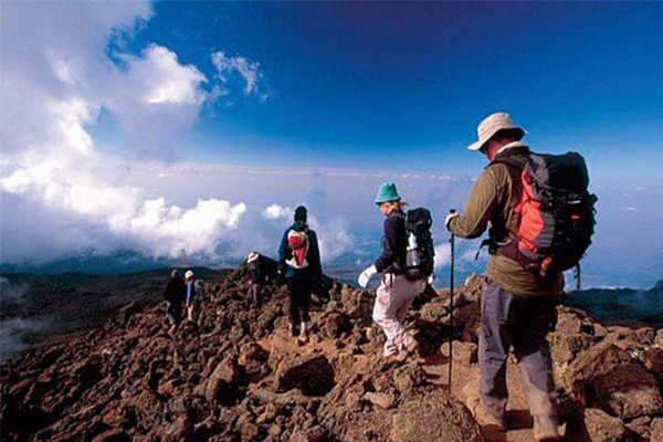 7 Days Mt Kilimanjaro Trekking Lemosho Route