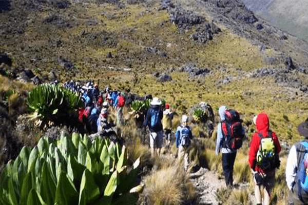 4 Days Mt Kenya Trekking Sirimon out Chogoria route