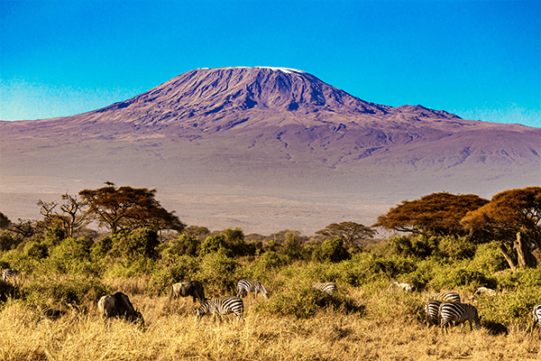 3 Days Amboseli the Shadow of Mt.Kilimanjaro